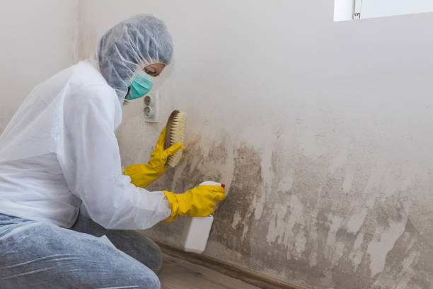 Best Crawl Space Mold Removal  in Arp, TX