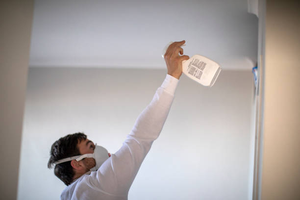 Best Mold Testing and Removal  in Arp, TX