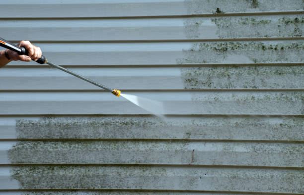 Best Mold Cleaning Services  in Arp, TX