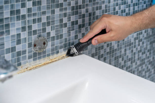 Best Mold Remediation  in Arp, TX