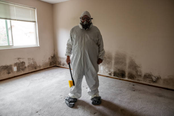 Best Mold Cleaning Services  in Arp, TX